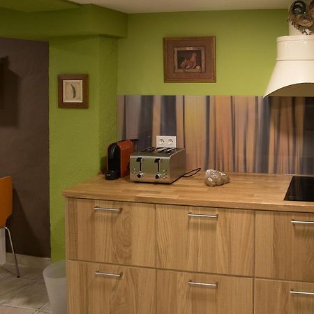 Amalur Etxea Guest House Echauri ภายนอก รูปภาพ