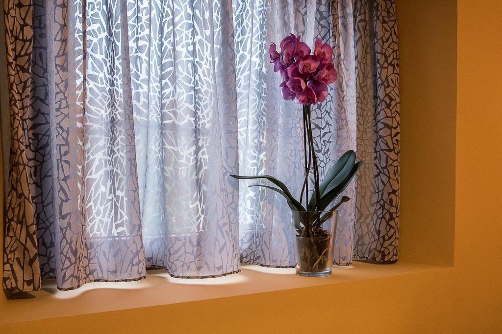 Amalur Etxea Guest House Echauri ภายนอก รูปภาพ